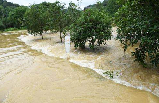 暴雨引发洪水时候安全自救手册