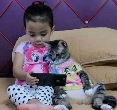 小女孩和猫咪一起看电视剧