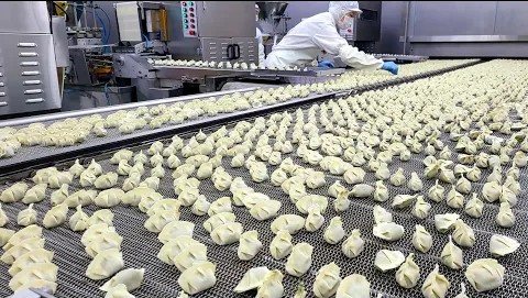 水饺生产线